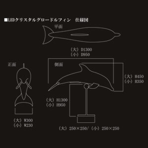 クリスタルグロードルフィン ホワイト 大 3枚目